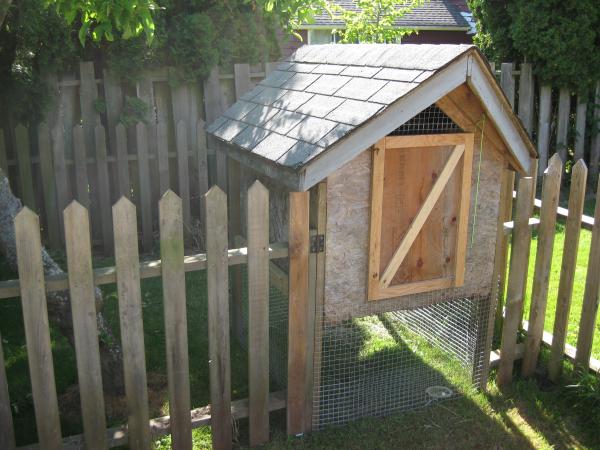 Convert your doghouse to a chicken coop | IWillTry.org